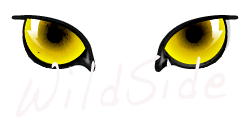 WildSide Online Logo